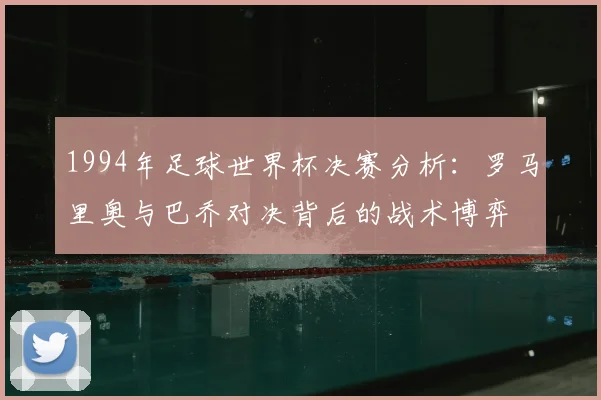 1994年足球世界杯决赛分析：罗马里奥与巴乔对决背后的战术博弈