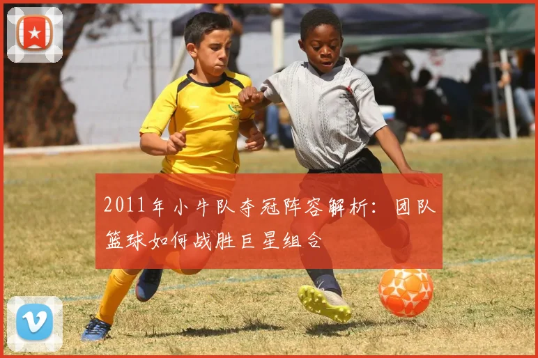 2011年小牛队夺冠阵容解析：团队篮球如何战胜巨星组合