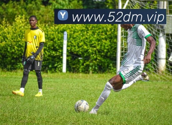 mksports网站平台生态图