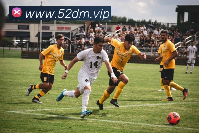 辅助工具 辅助工具